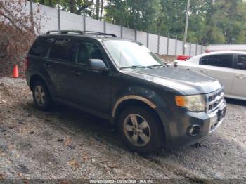  Salvage Ford Escape