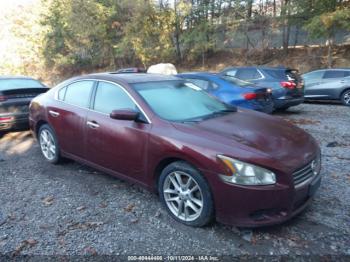  Salvage Nissan Maxima