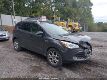  Salvage Ford Escape