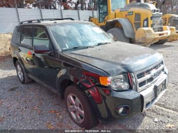  Salvage Ford Escape