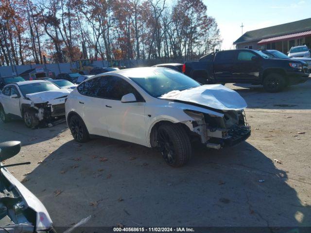  Salvage Tesla Model Y