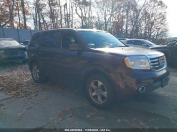  Salvage Honda Pilot