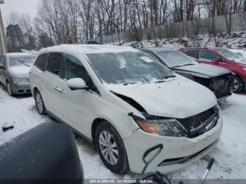  Salvage Honda Odyssey