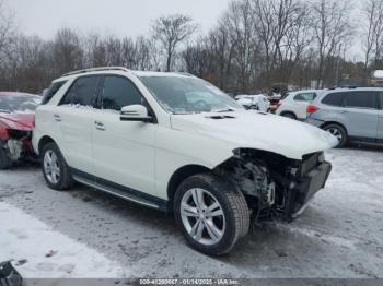  Salvage Mercedes-Benz M-Class