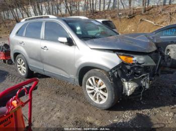  Salvage Kia Sorento