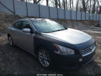  Salvage Nissan Maxima