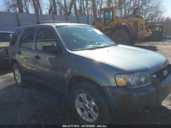  Salvage Ford Escape