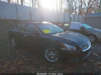  Salvage Nissan Maxima