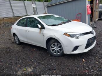  Salvage Toyota Corolla