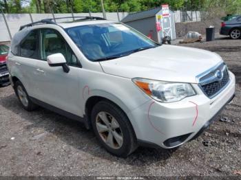  Salvage Subaru Forester