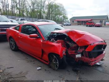  Salvage Ford Mustang
