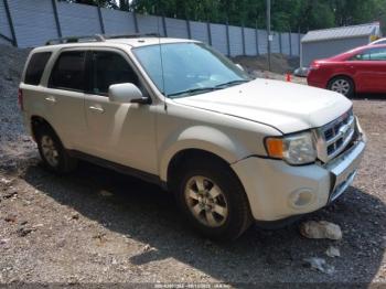  Salvage Ford Escape