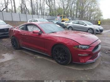  Salvage Ford Mustang