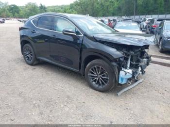  Salvage Lexus NX