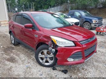  Salvage Ford Escape