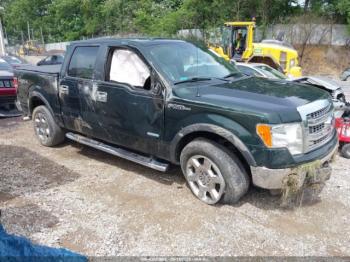  Salvage Ford F-150