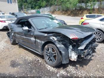  Salvage Ford Mustang