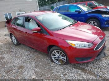  Salvage Ford Focus
