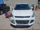 Ford Escape Se Image 3