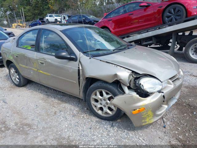  Salvage Dodge Neon