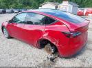 Tesla Model Y Image 14