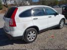 Honda CR-V Ex Image 16