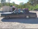 Lincoln Towncar Signature Image 14