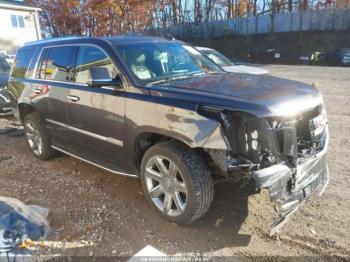  Salvage Cadillac Escalade