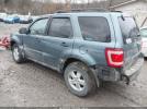 Ford Escape Xlt Image 10
