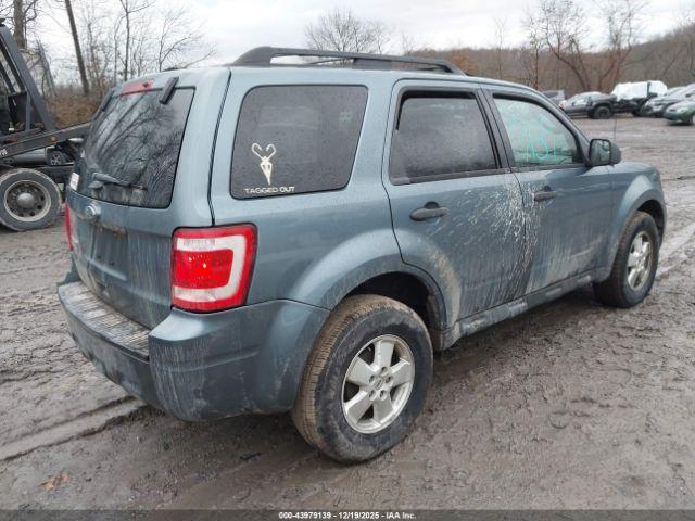Ford Escape Xlt Image 16
