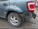 Ford Escape Xlt Image 6