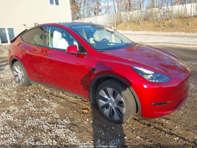 Tesla Model Y Long Range Dual Motor All-wheel Drive Image 1