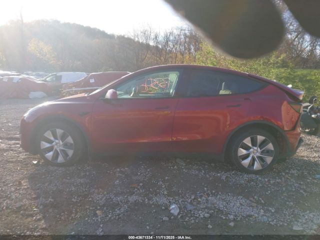 Tesla Model Y Long Range Dual Motor All-wheel Drive Image 16