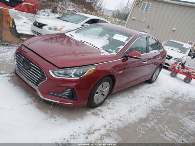 Hyundai SONATA Se Image 4