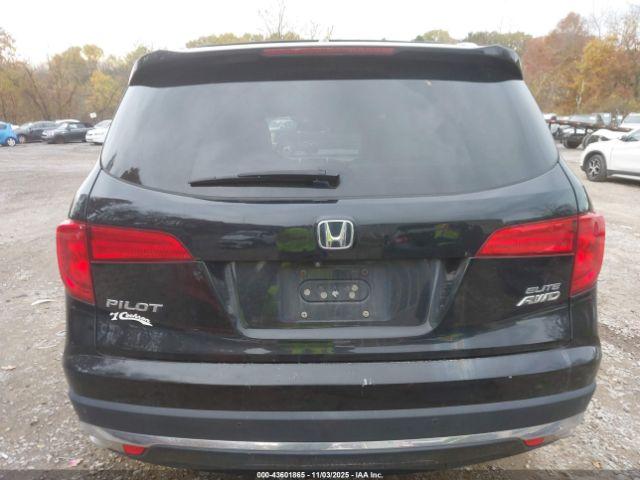 Honda Pilot Elite Image 10