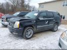 Cadillac Escalade Standard Image 13