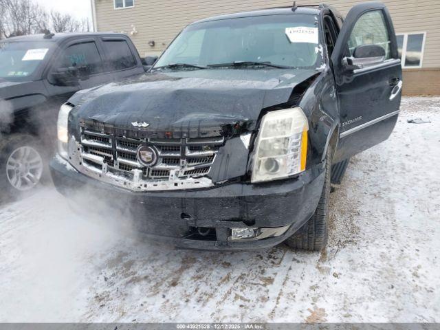 Cadillac Escalade Standard Image 9