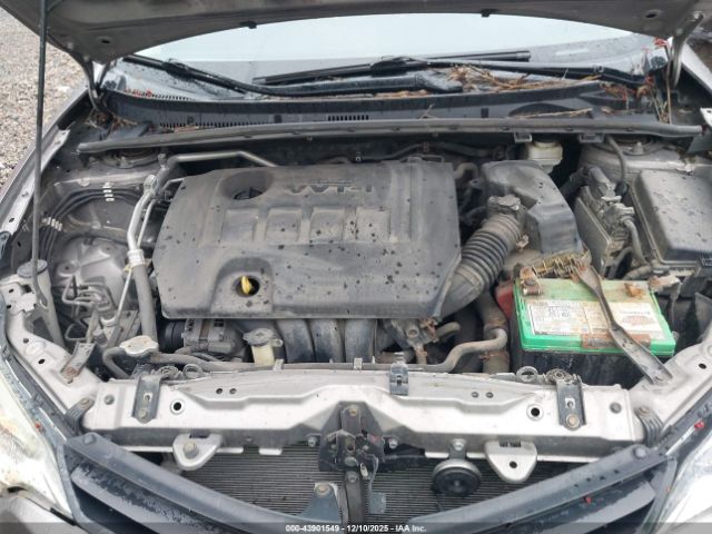 Toyota Corolla Le Image 16