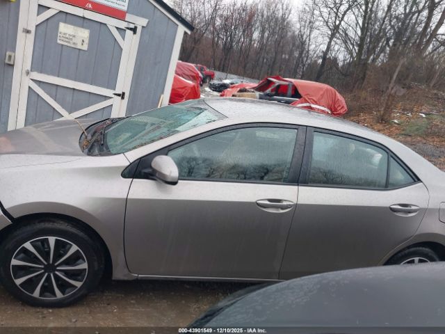 Toyota Corolla Le Image 3