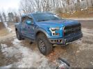 Ford F-150 Raptor Image 1