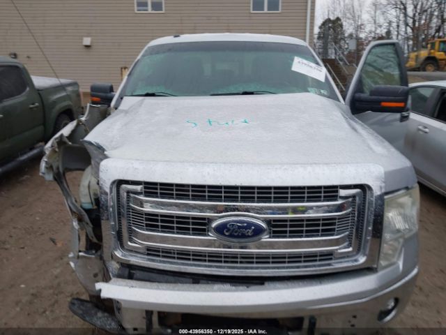 Ford F-150 Xlt Image 8