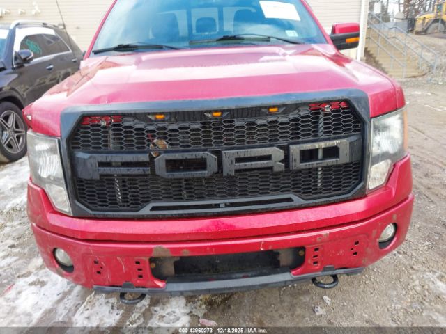 Ford F-150 Fx4 Image 16